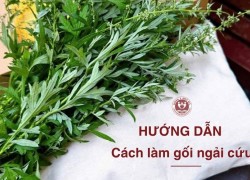 Hướng dẫn cách làm gối ngải cứu giảm đau mỏi cơ hiệu quả